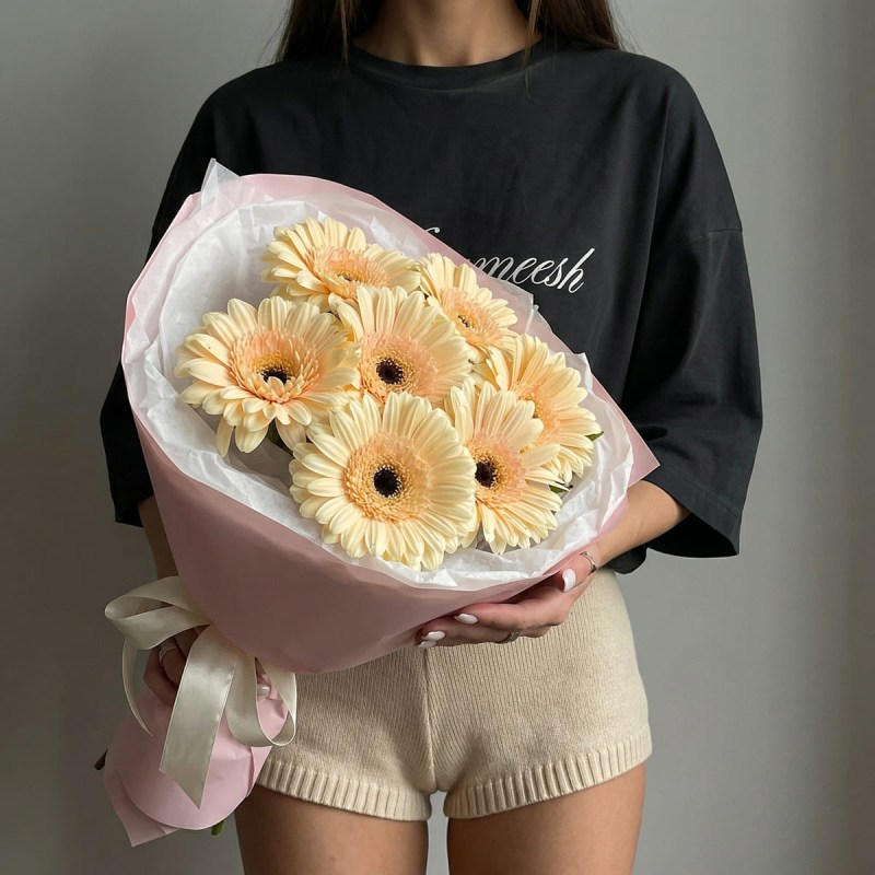 Букет из 7 кремовых гербер в нежно-розовой упаковке подарок на день рождения или свидание.