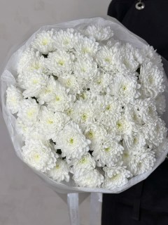 buket-11-belyh-hrizantem-altaj