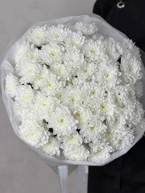 buket-11-belyh-hrizantem-altaj