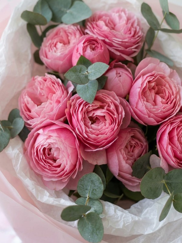 buket-3-kustovyh-roz-silva-pink2