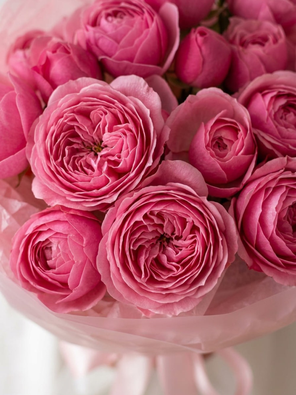 buket-5-rozovyh-kustovyh-roz-silva-pink2