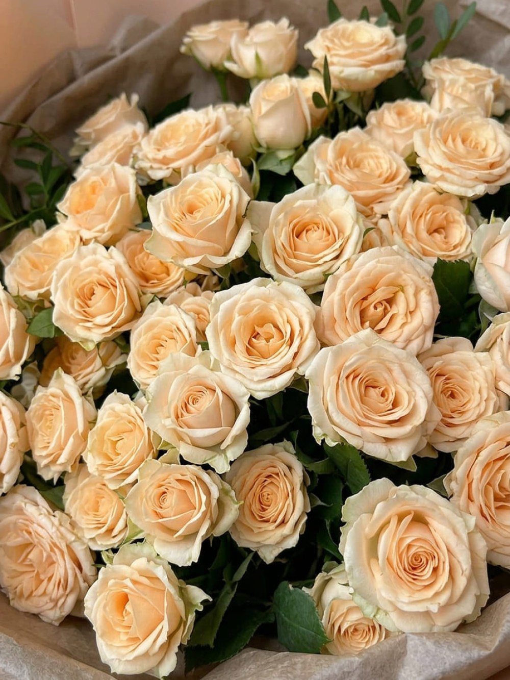 buket-9-kremovyh-kustovyh-roz-s-zelenyu5