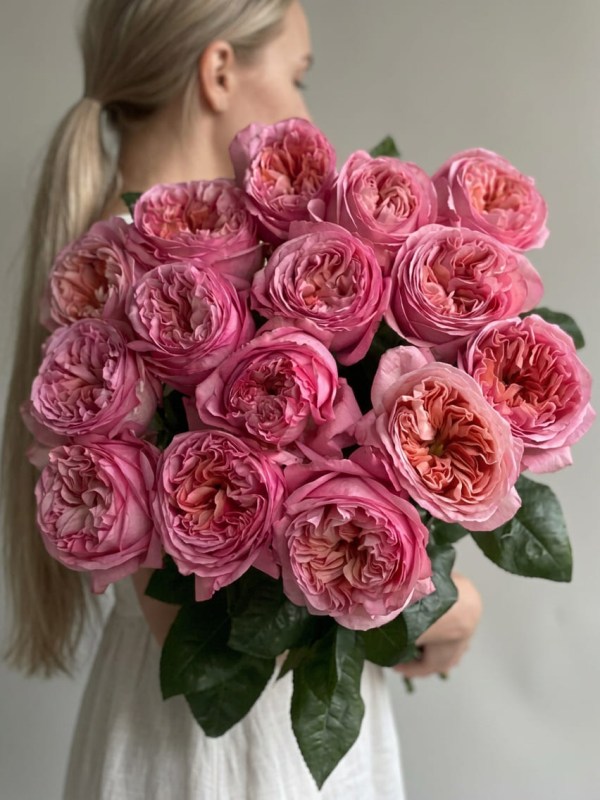 Букет из 15 пионовидных роз Pink Expression