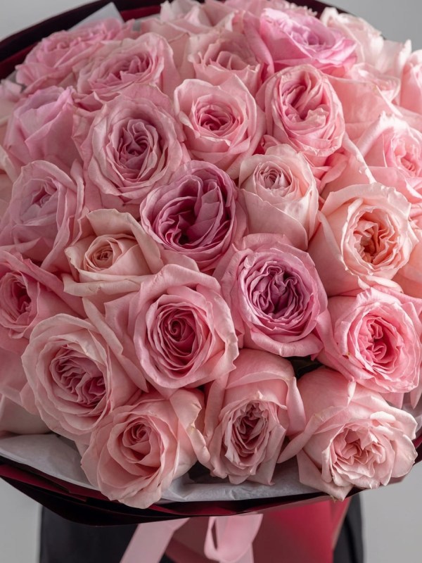 buket-iz-35-pionovidnyh-roz-pink-ohara-premium2