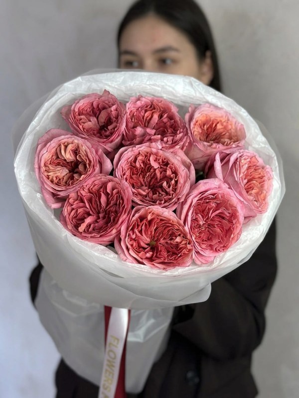 buket-iz-9-pionovidnyh-roz-pink-ekspreshn