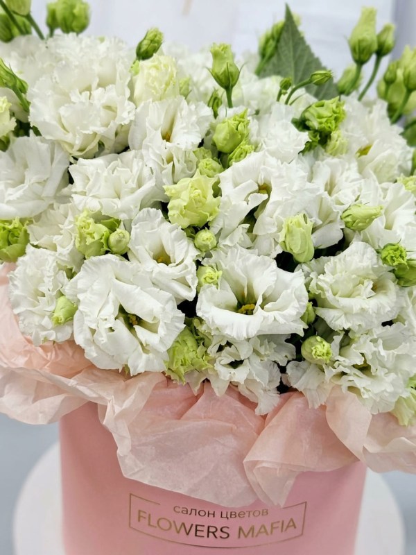 eustoma-belaya-v-korobke2