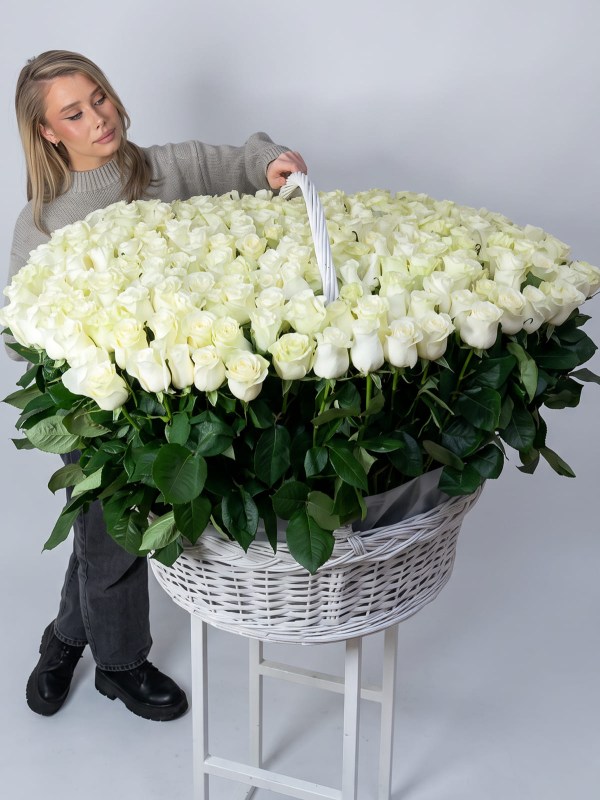 Гигантская корзина из 301 белой розы