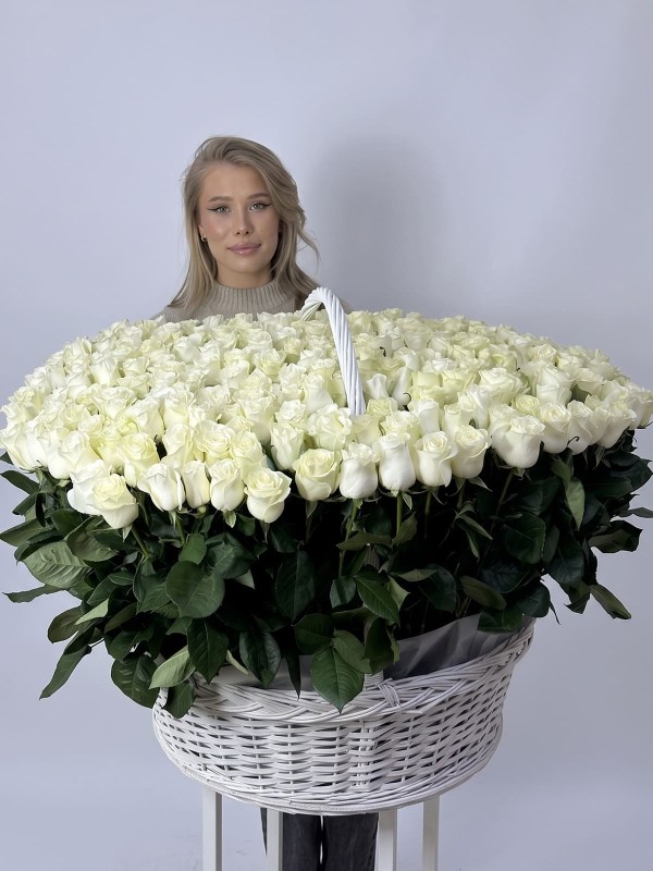 gigantskaya-korzina-iz-301-beloy-rozy